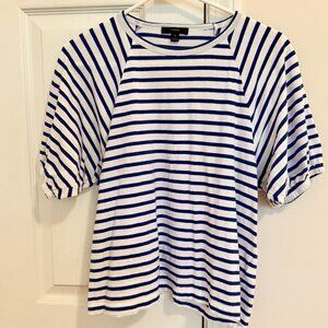JCrew Puff Sleeve Blue and White Striped Top Size Small
